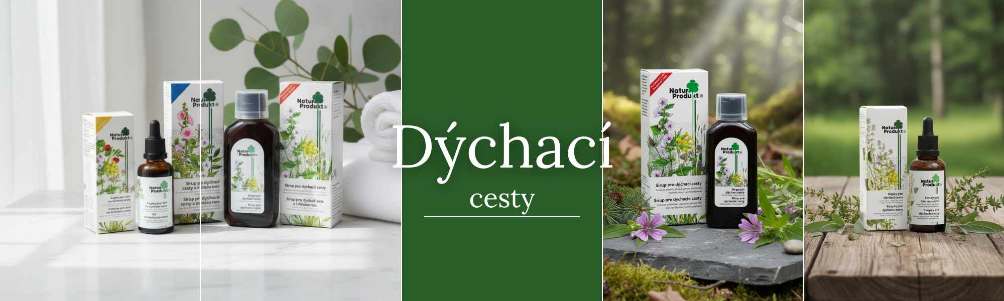 NB LI + BLOG banner (6)